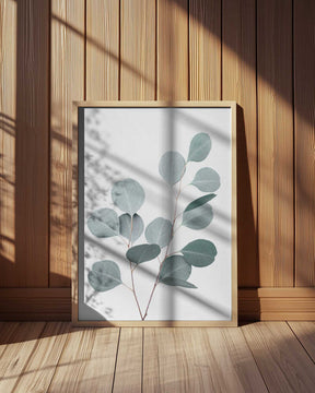 Silverdollar Poster