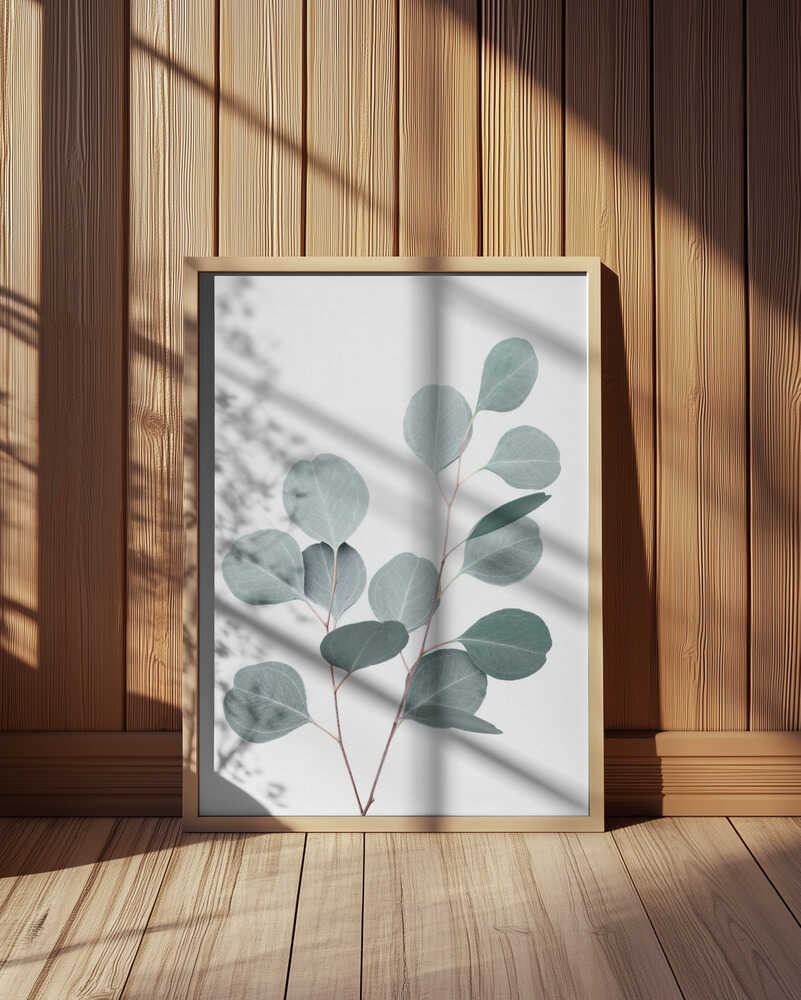Silverdollar Poster