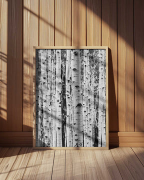 Birches Poster