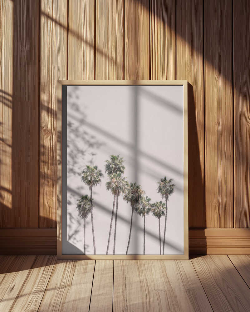 Blush Palms Poster