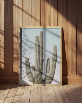Saguaro Poster