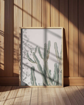 Sunrise Cactus Poster
