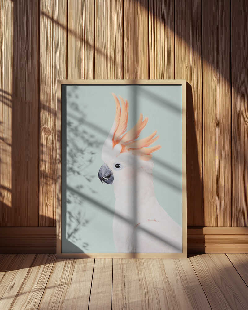 Cockatoo Poster