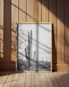 Saguaro B&amp;W Poster