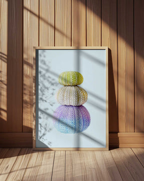 Sea Urchins Poster