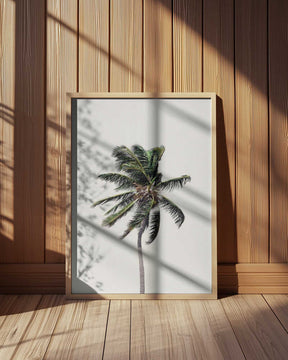Windy Palm Tree Poster