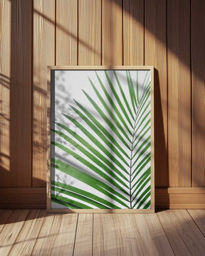 Green Palm Leaf Poster