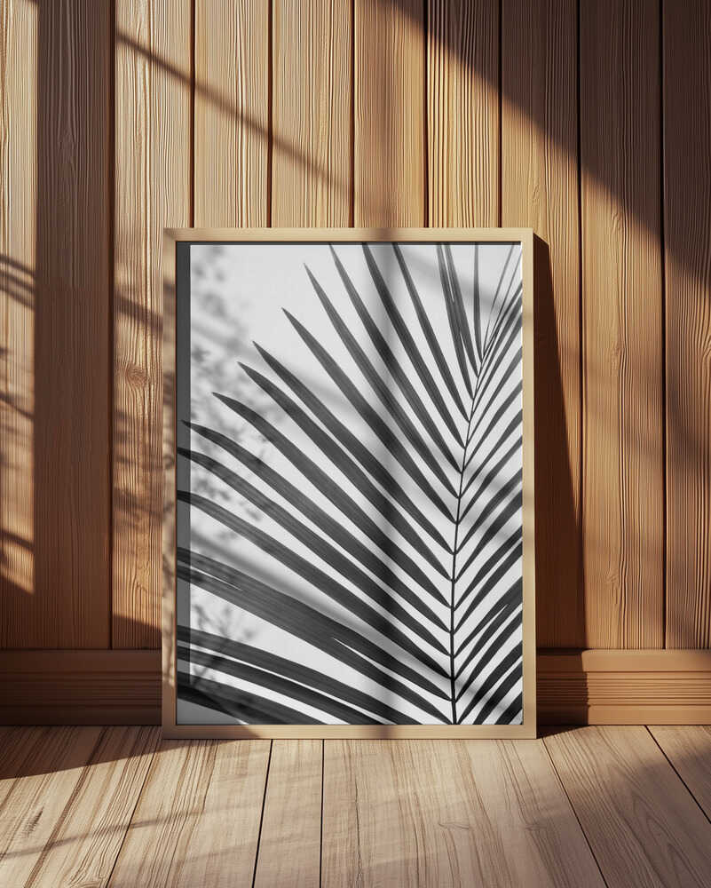 BW Palm Leaf Poster