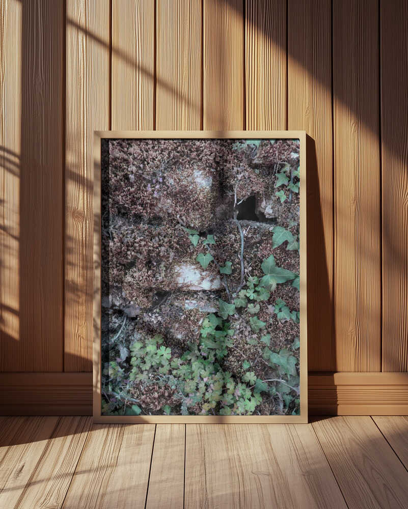 Climbing Poster