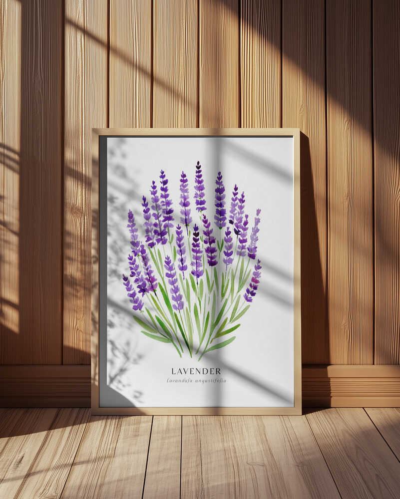 Lavender I Poster