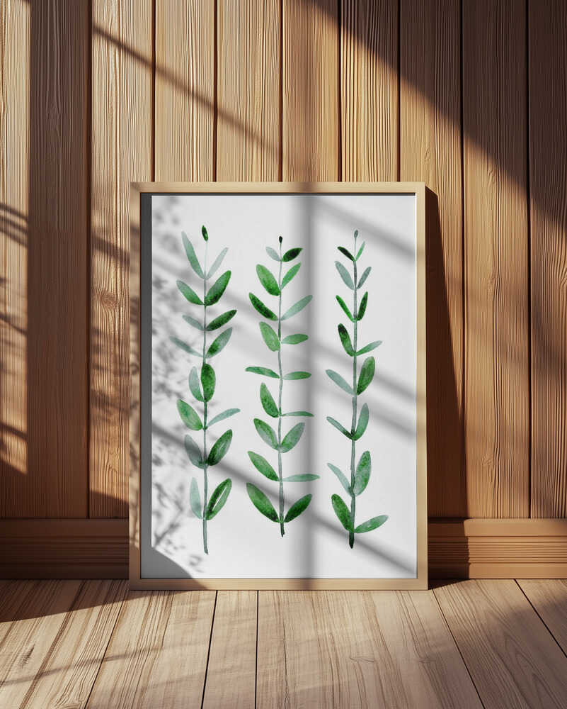 Watercolor eucalyptus parvifolia Poster