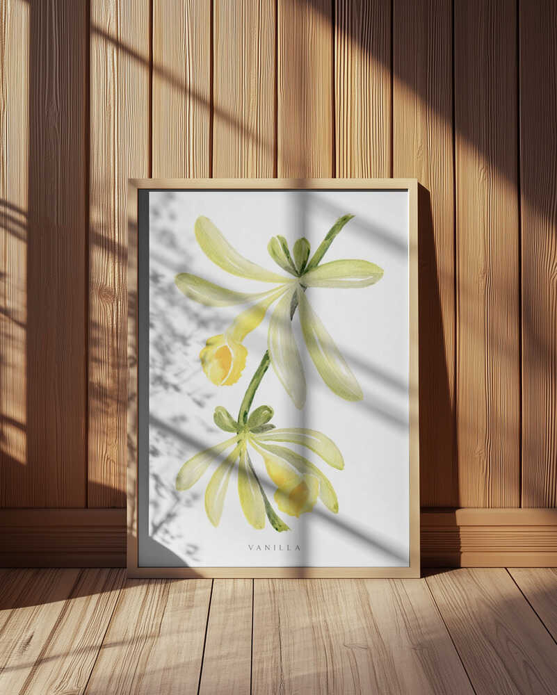 Watercolor vanilla orchid Poster