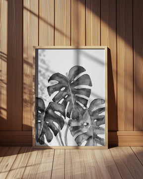 Monstera leaves in loose watercolor bw Poster