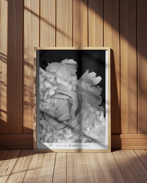 Enjoy the little things peony BW Poster