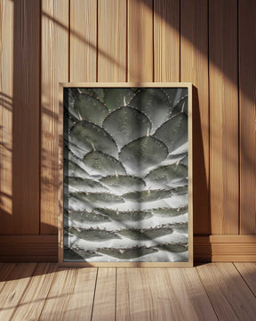 Spiral Succulent Poster
