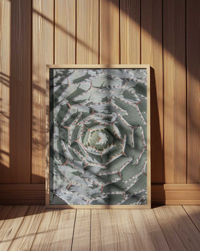 Spiral Succulent Maze Poster