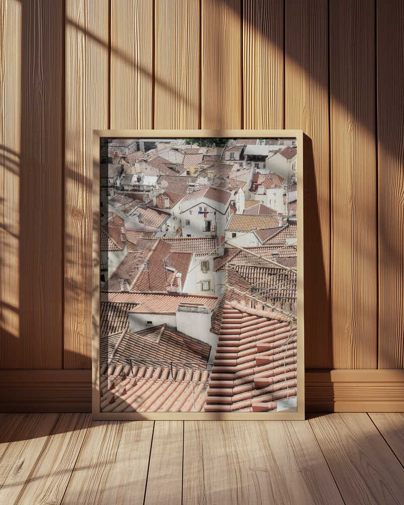 Red Tiled Rooftops Poster