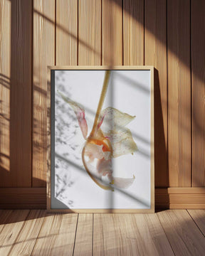 Petal Symphony Poster