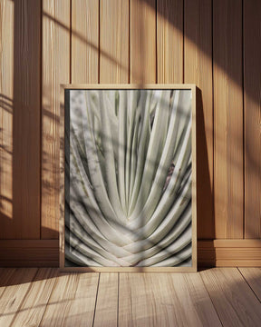 Desert Fan Dance Poster