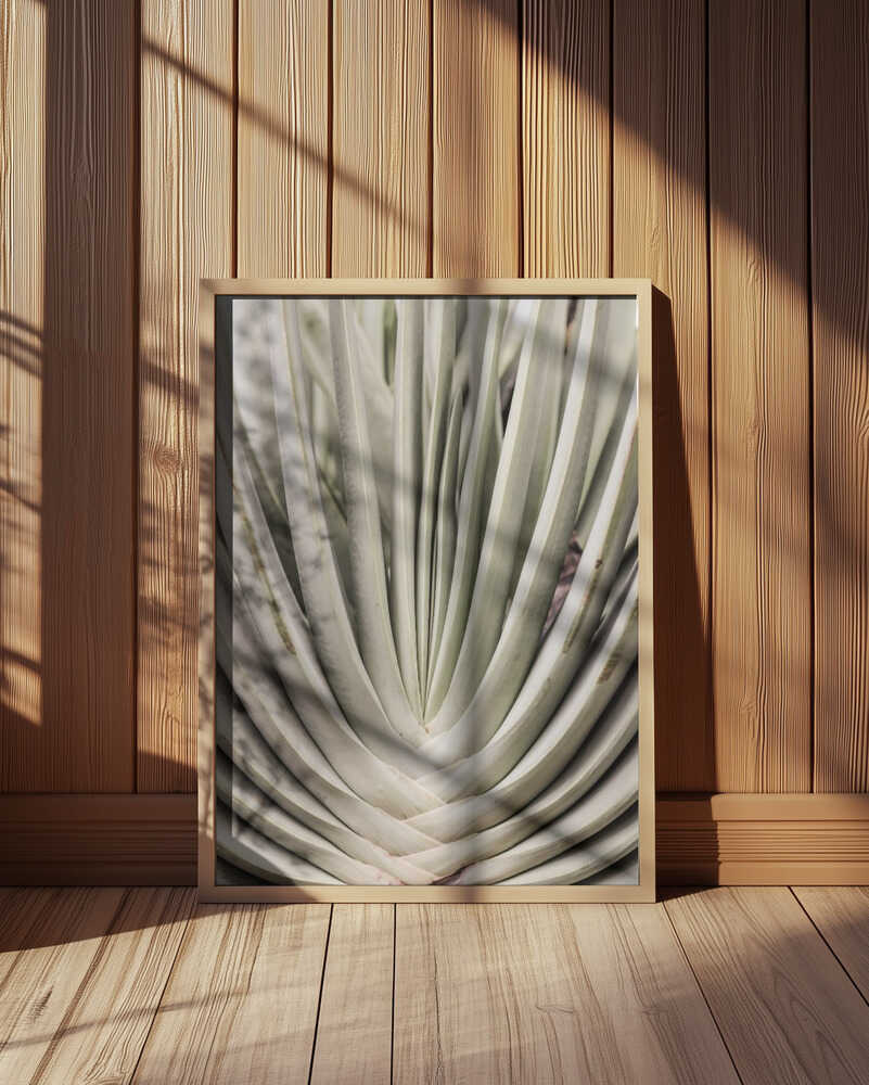 Desert Fan Dance Poster