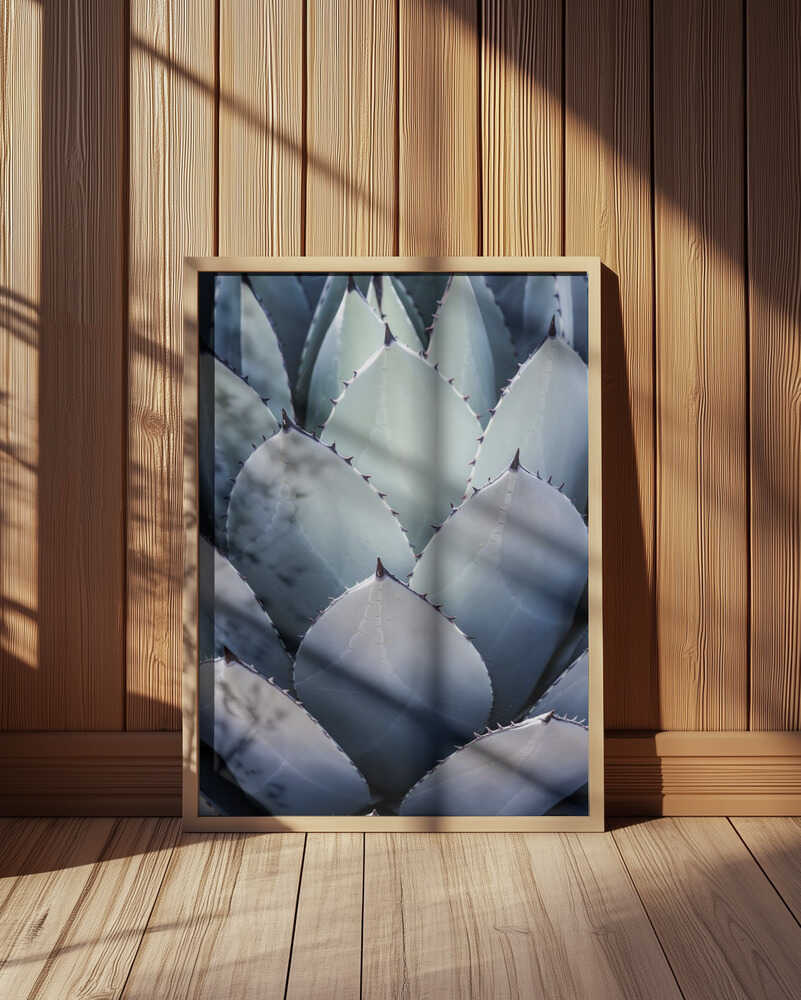 Agave Geometry Poster