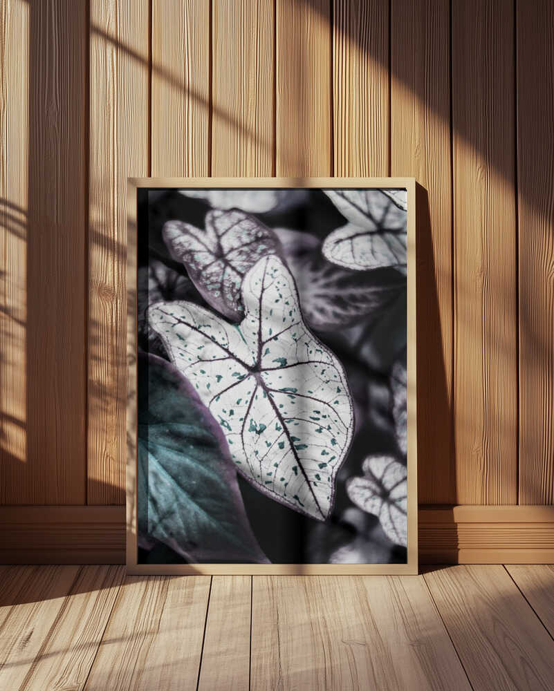 Whispers of Leaves Poster