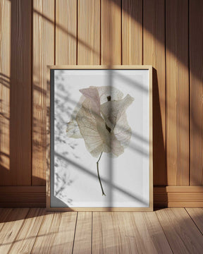 Petal Whisper Poster