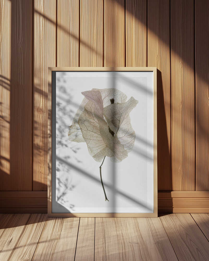 Petal Whisper Poster