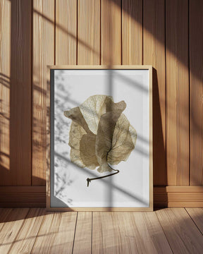 Whispering Petals Poster