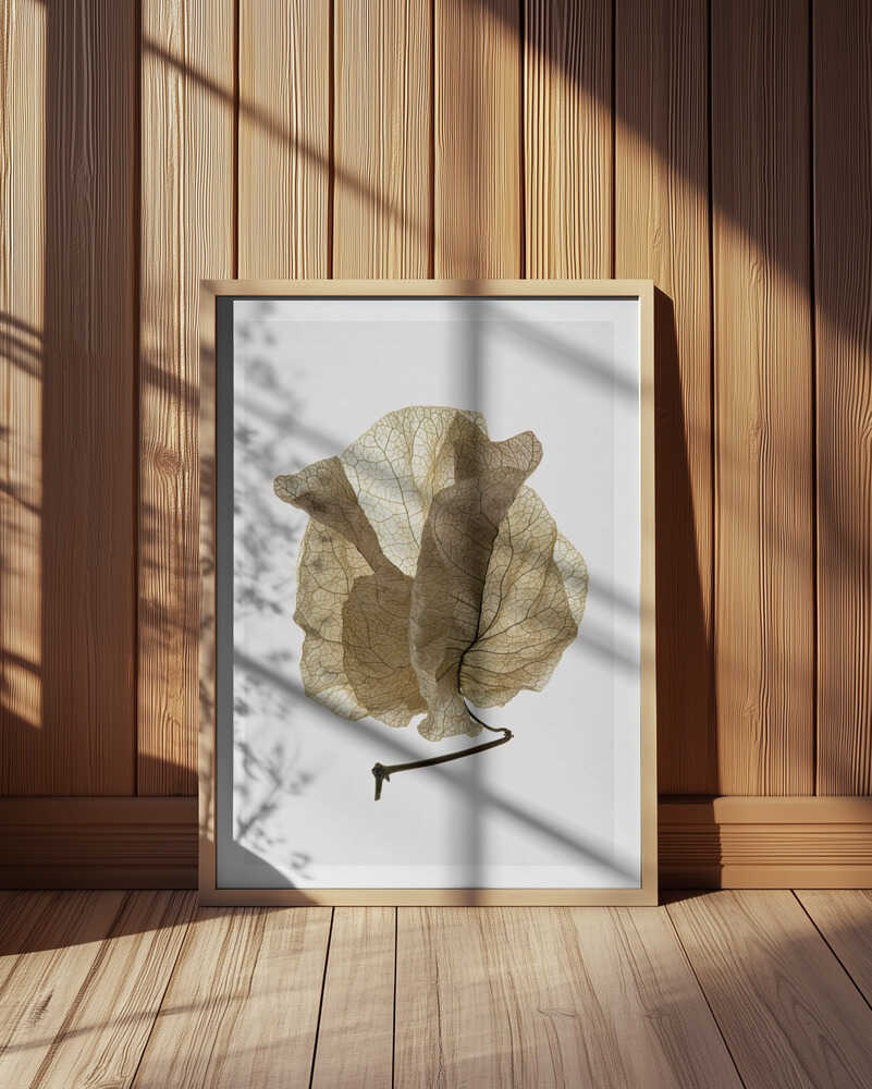 Whispering Petals Poster