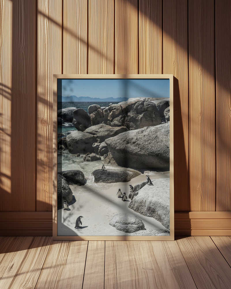 Penguin Cove Serenity Poster
