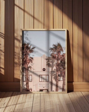 Palm Shadows Poster