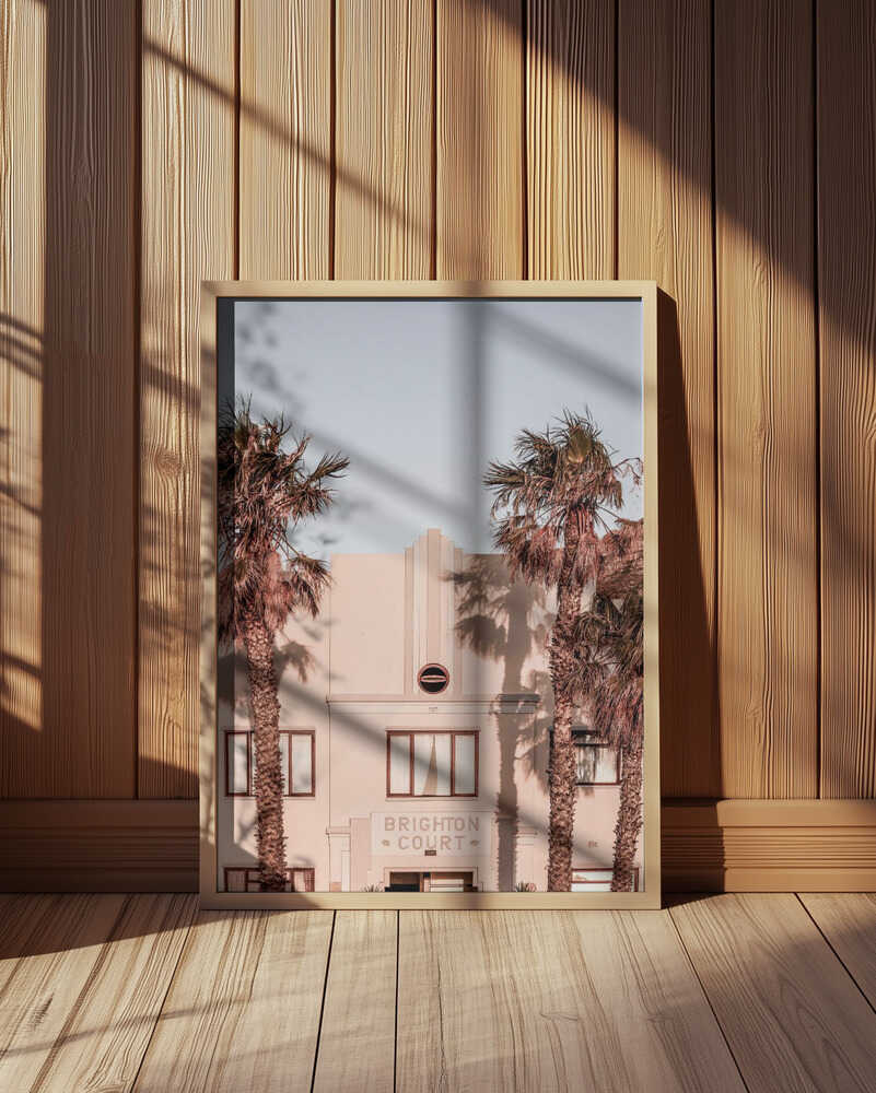 Palm Shadows Poster