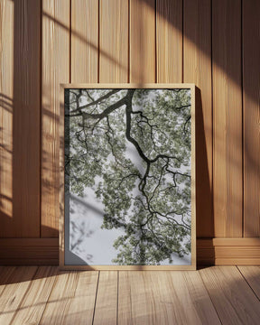 Ethereal Canopy Poster