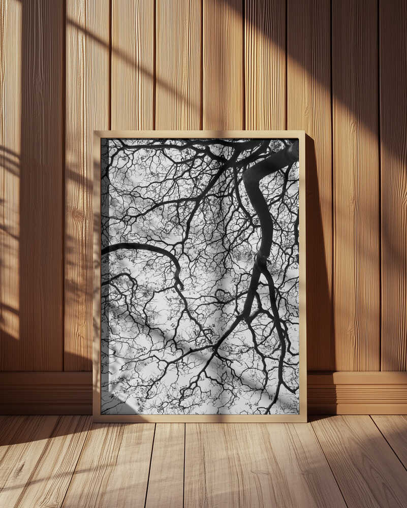 Branches' Dance Poster