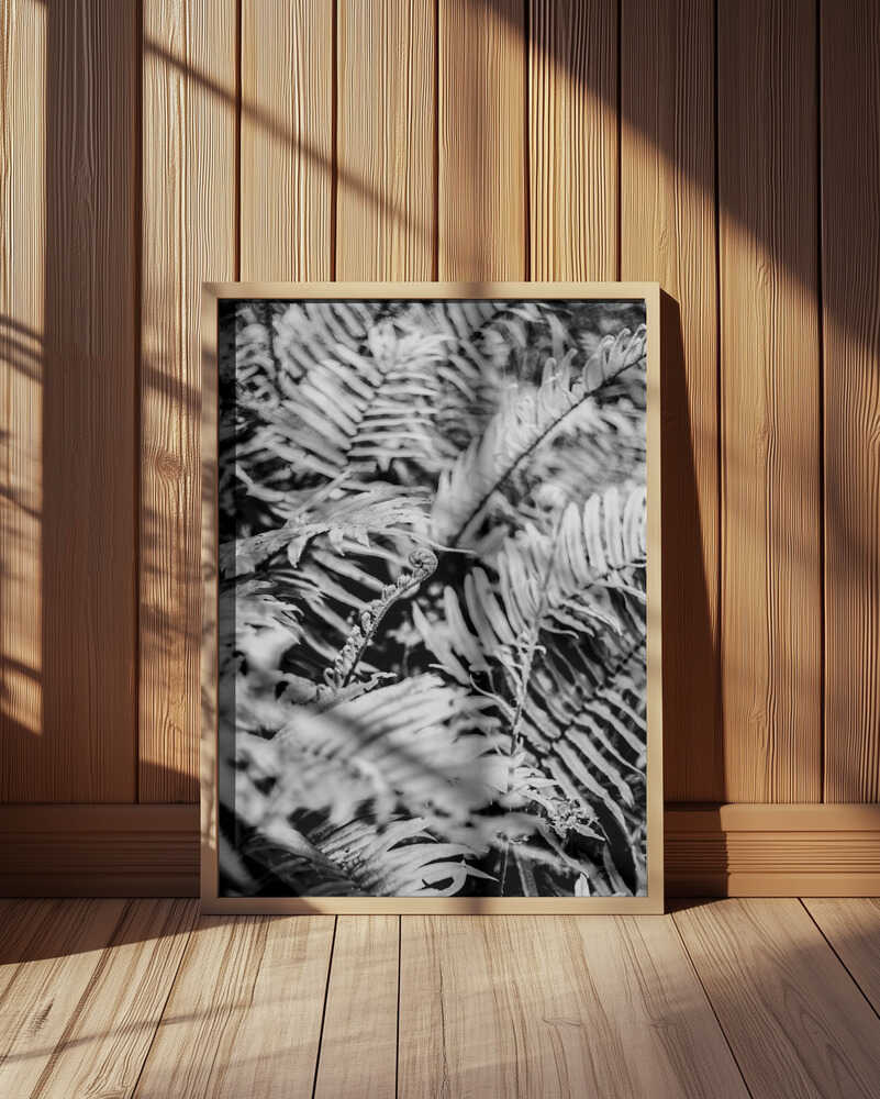 Whispering Ferns Poster