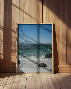 Penguin's Beach Walk Poster