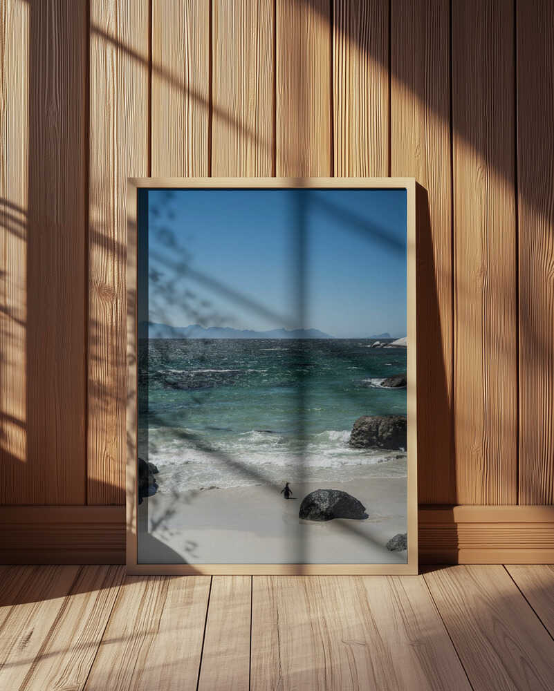 Penguin's Beach Walk Poster