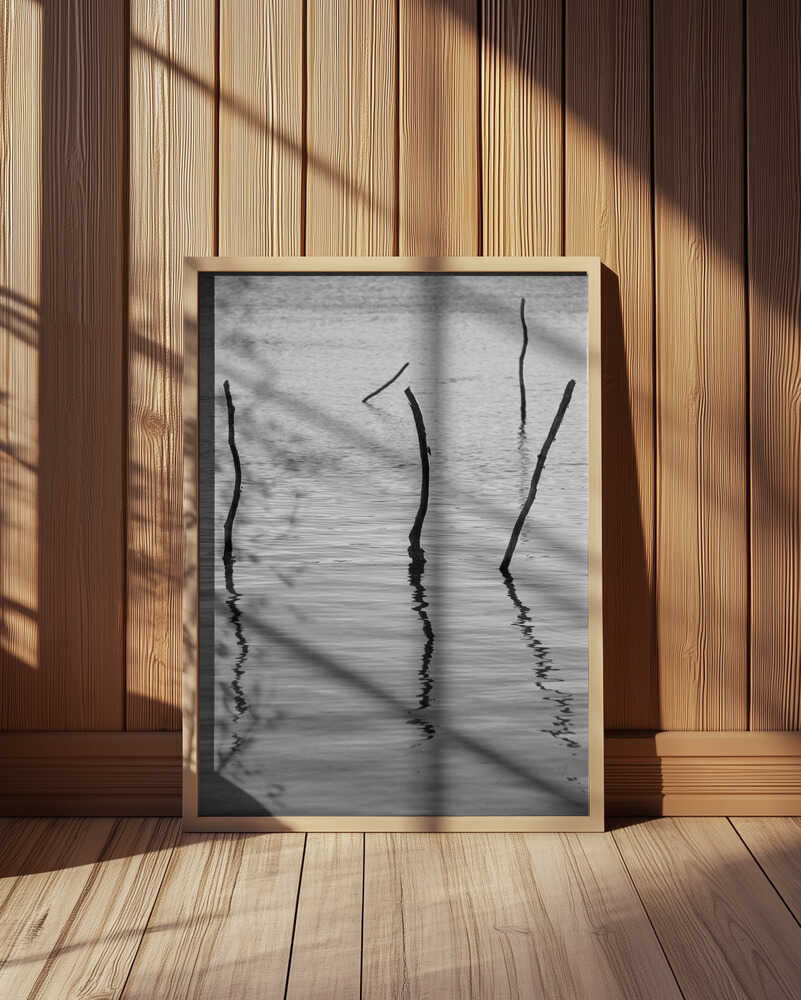 Silent Reflections Poster