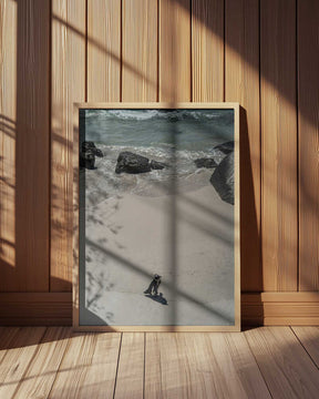 Lonely Beach Stroll Poster