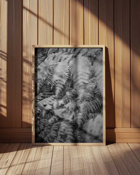 Black And White Photograph Poster
