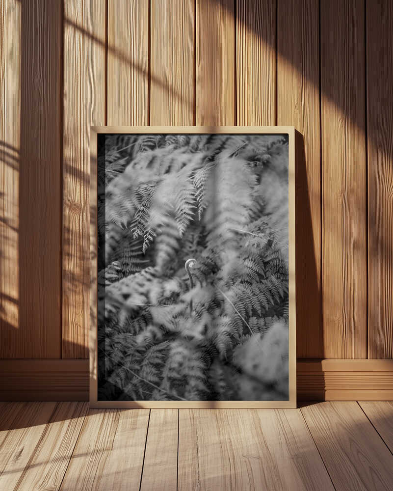 Black And White Photograph Poster