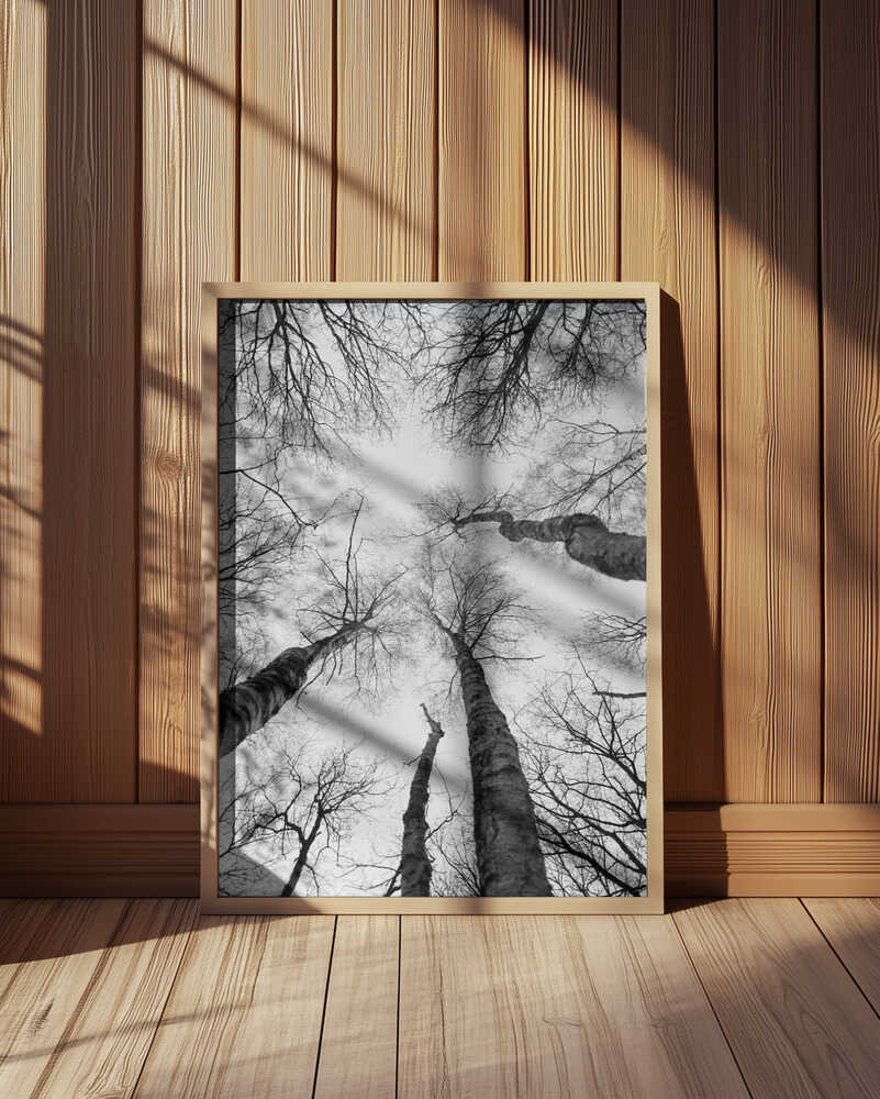 Reaching Branches Poster