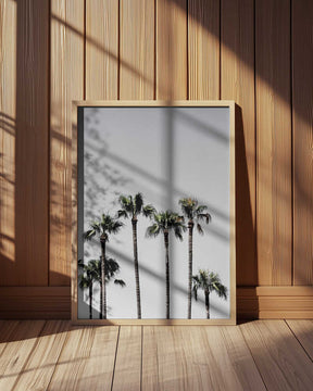 Palm Trees 5 Poster