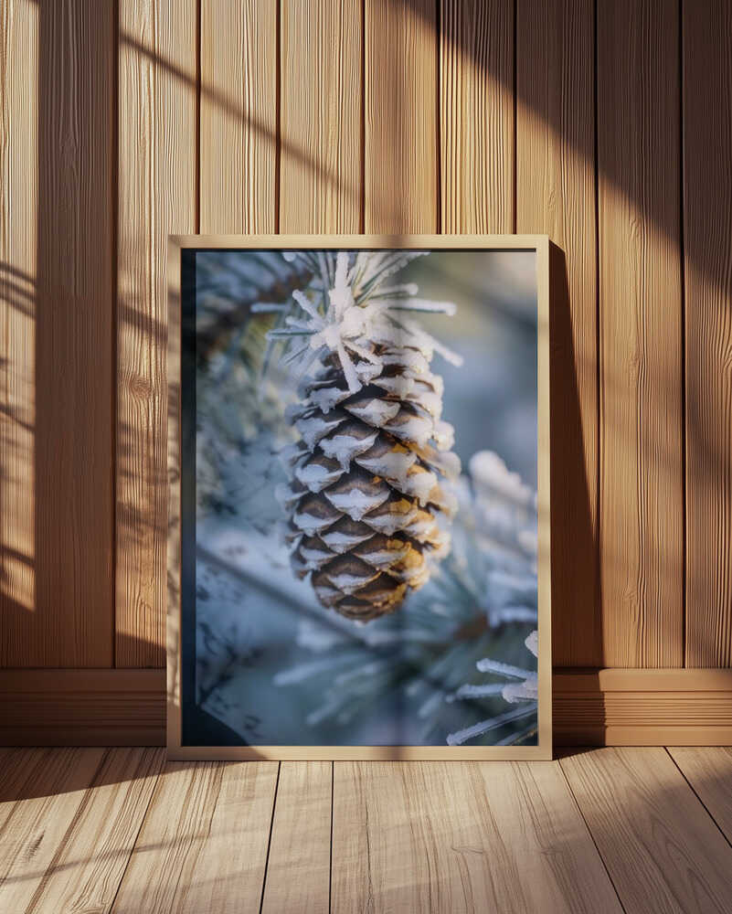 Frosty Pinecone Burst Poster