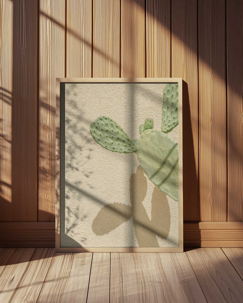 Cacti Shadowplay Poster