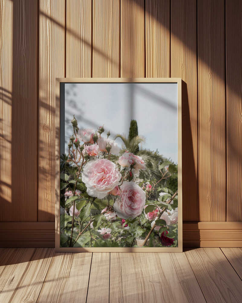 Garden Roses Poster