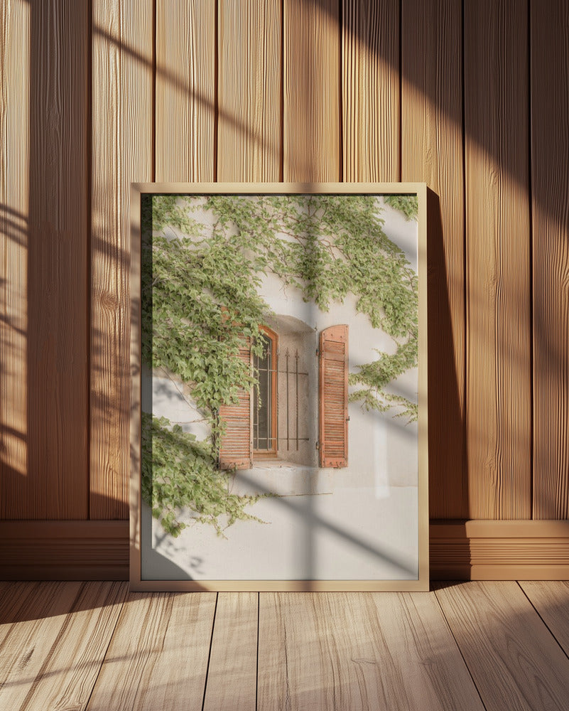 French Shutters Poster