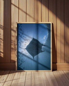 Manta Eclipse Poster