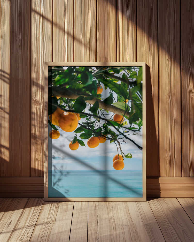 Amalfi Coast Oranges IV Poster